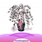 Bunga Anggrek Bulan Novelty AS AGR-020