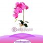 Bunga Anggrek Latex Artificial AS AGRL-007