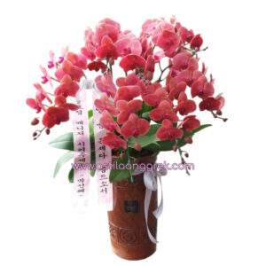 AS AGR-011