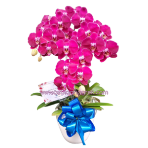 AS AGR-009