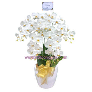 AS AGR-008