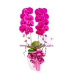 AS AGR-003 AS AGR-003