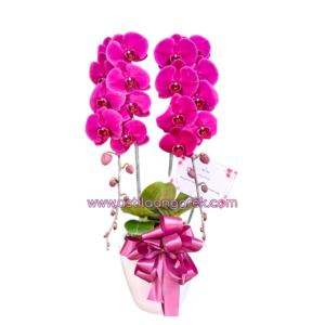 AS AGR-003