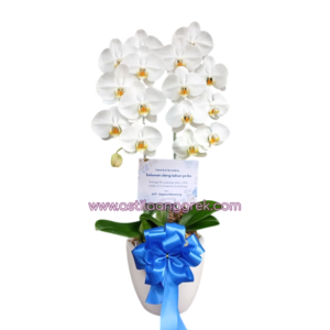 AS AGR-002
