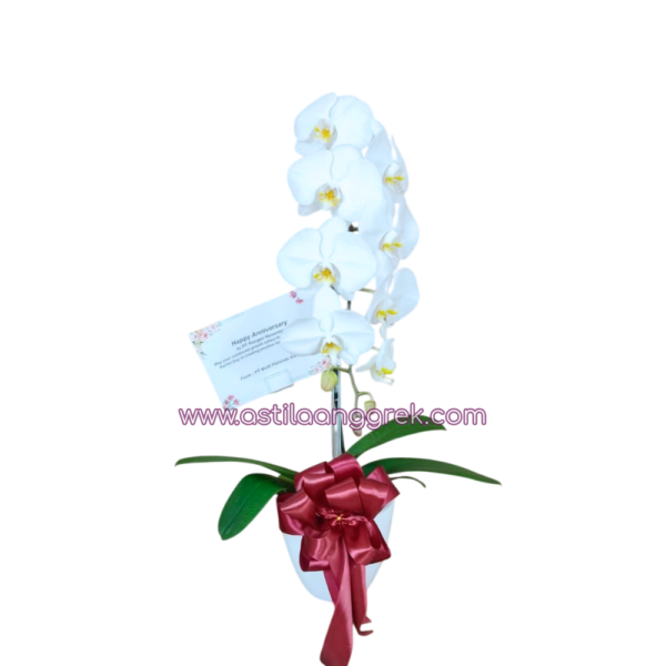 AS AGR-035 AS AGR-035